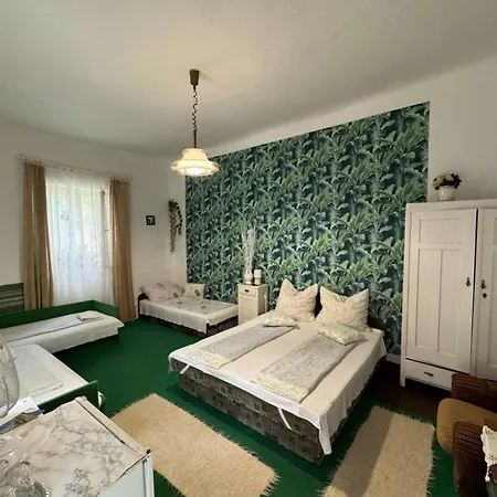 Pansiyon Farago Vendeghaz Abádszalók