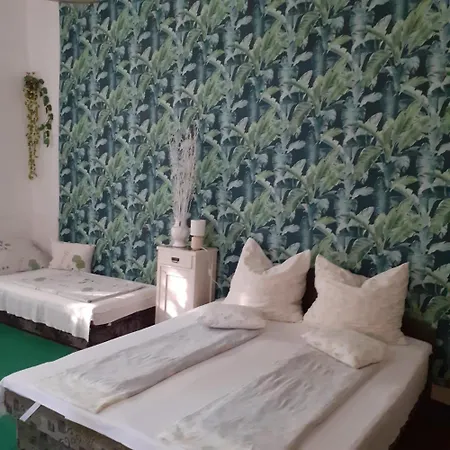 Farago Vendeghaz Habitación en casa particular Abádszalók